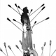 Image for article titled This Manga is as Hardcore as the Vikings
